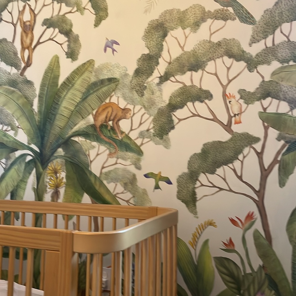 Lulu & Georgia Jungle Wallpaper (unopened)